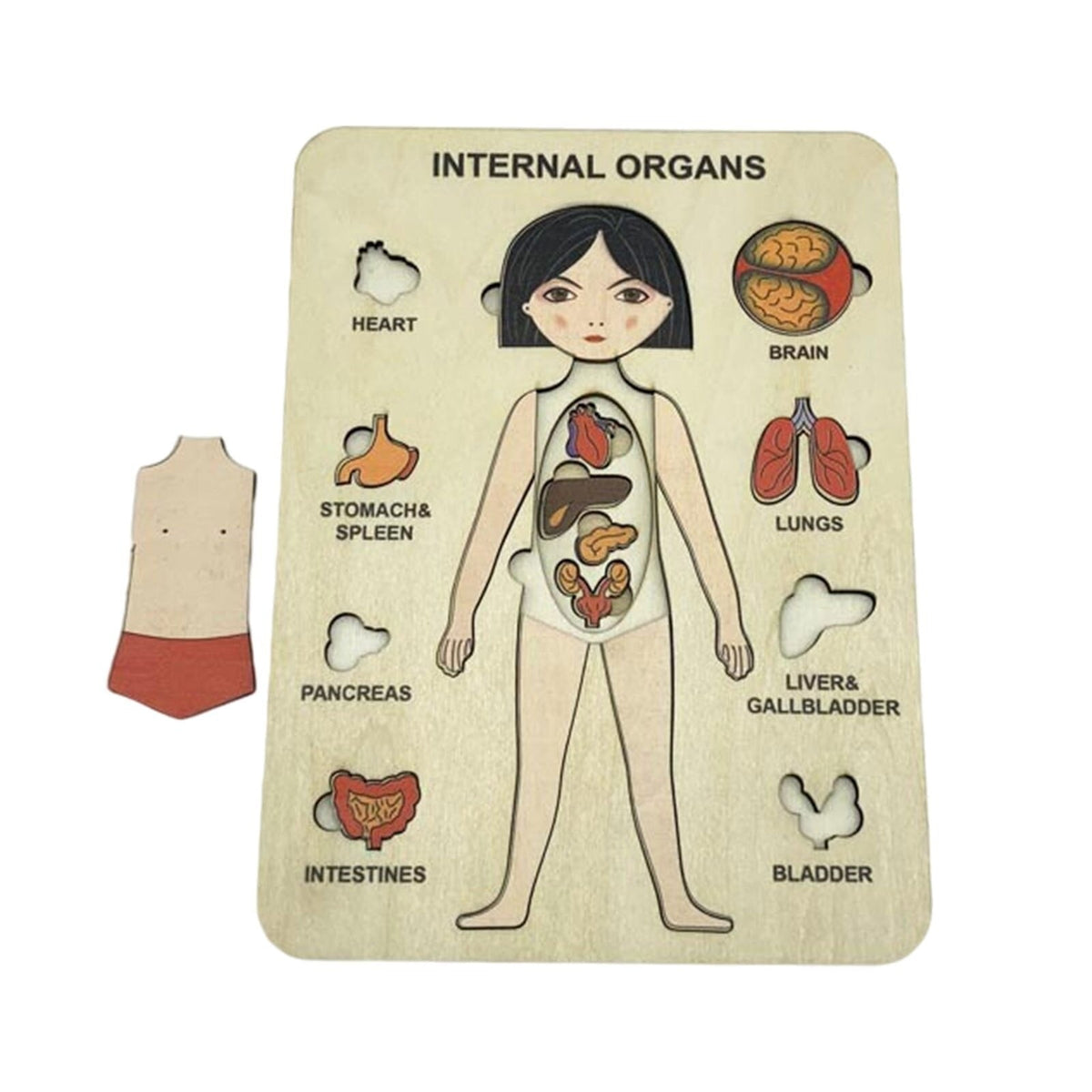 Woods™ | Discover the Human Body – Layer Puzzle