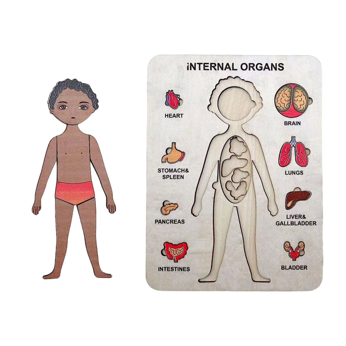 Woods™ | Discover the Human Body – Layer Puzzle