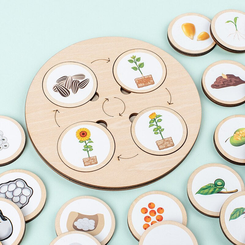 Woods™ | Wooden Life Cycle Puzzle
