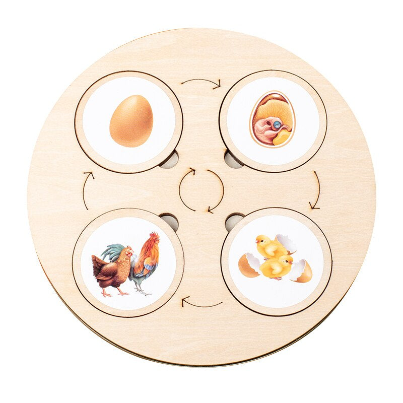 Woods™ | Wooden Life Cycle Puzzle