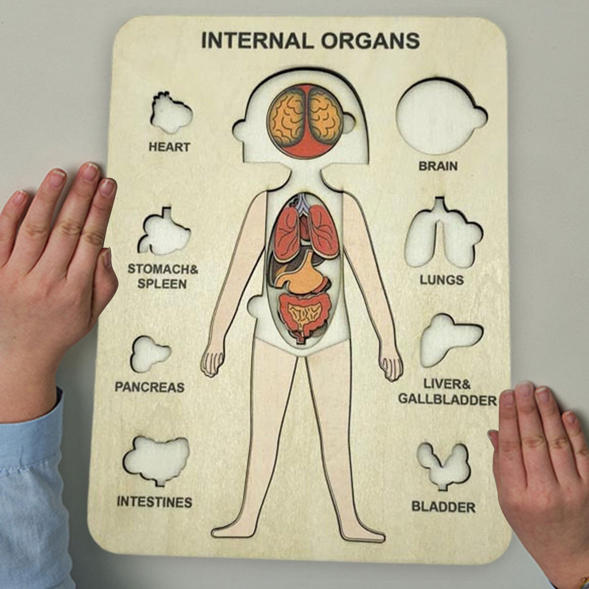 Woods™ | Discover the Human Body – Layer Puzzle